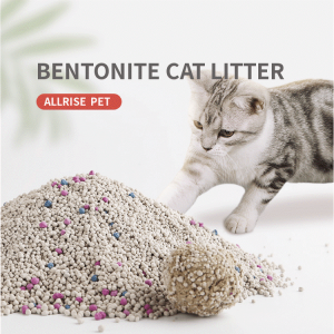 Bentonite Cat Litter -10L