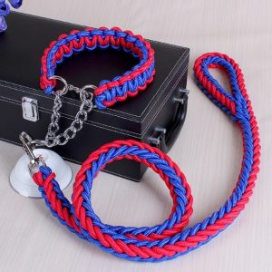 Stereo Type Leash for large Dog