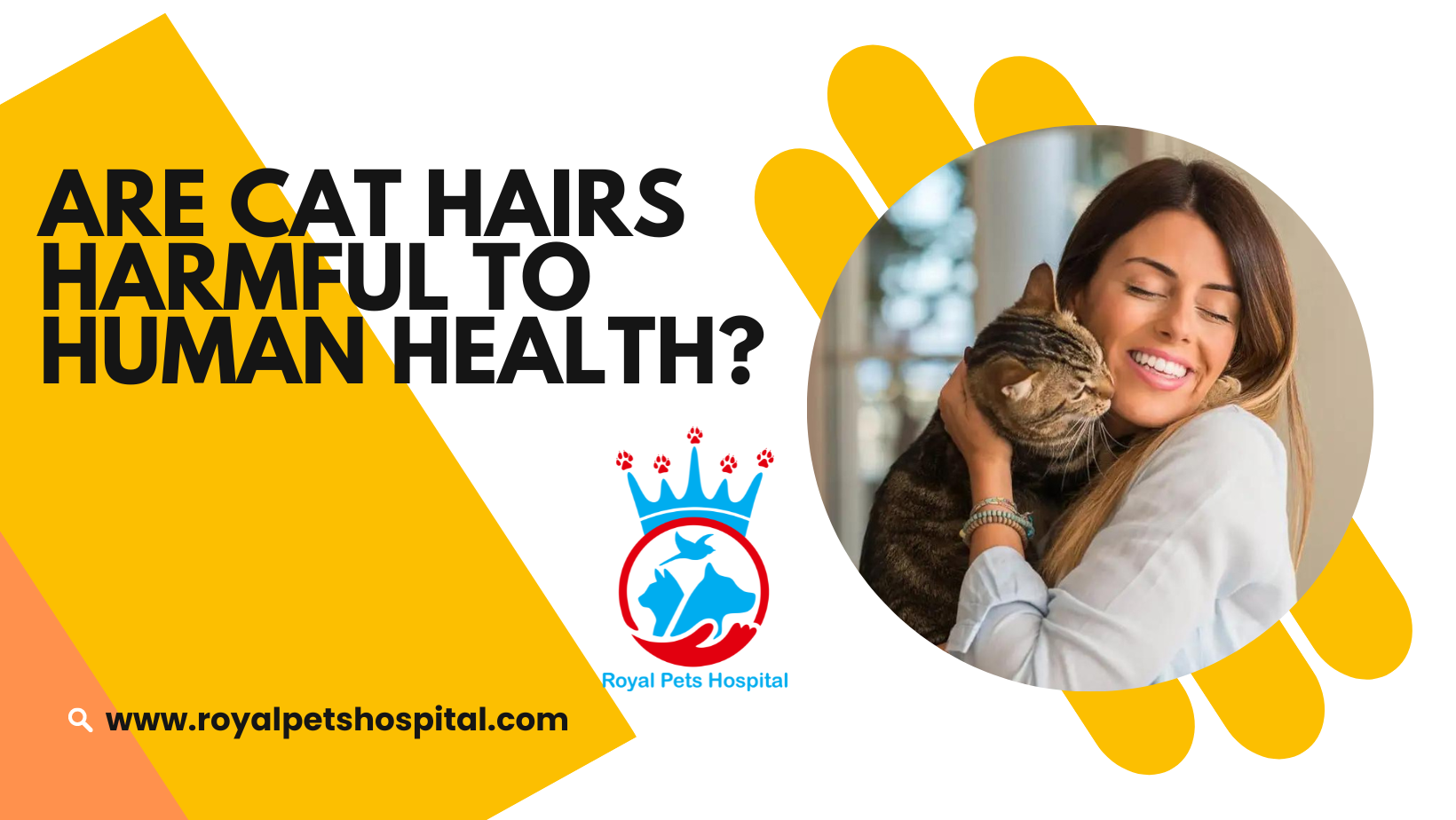 You are currently viewing Are cat hairs harmful to human health?